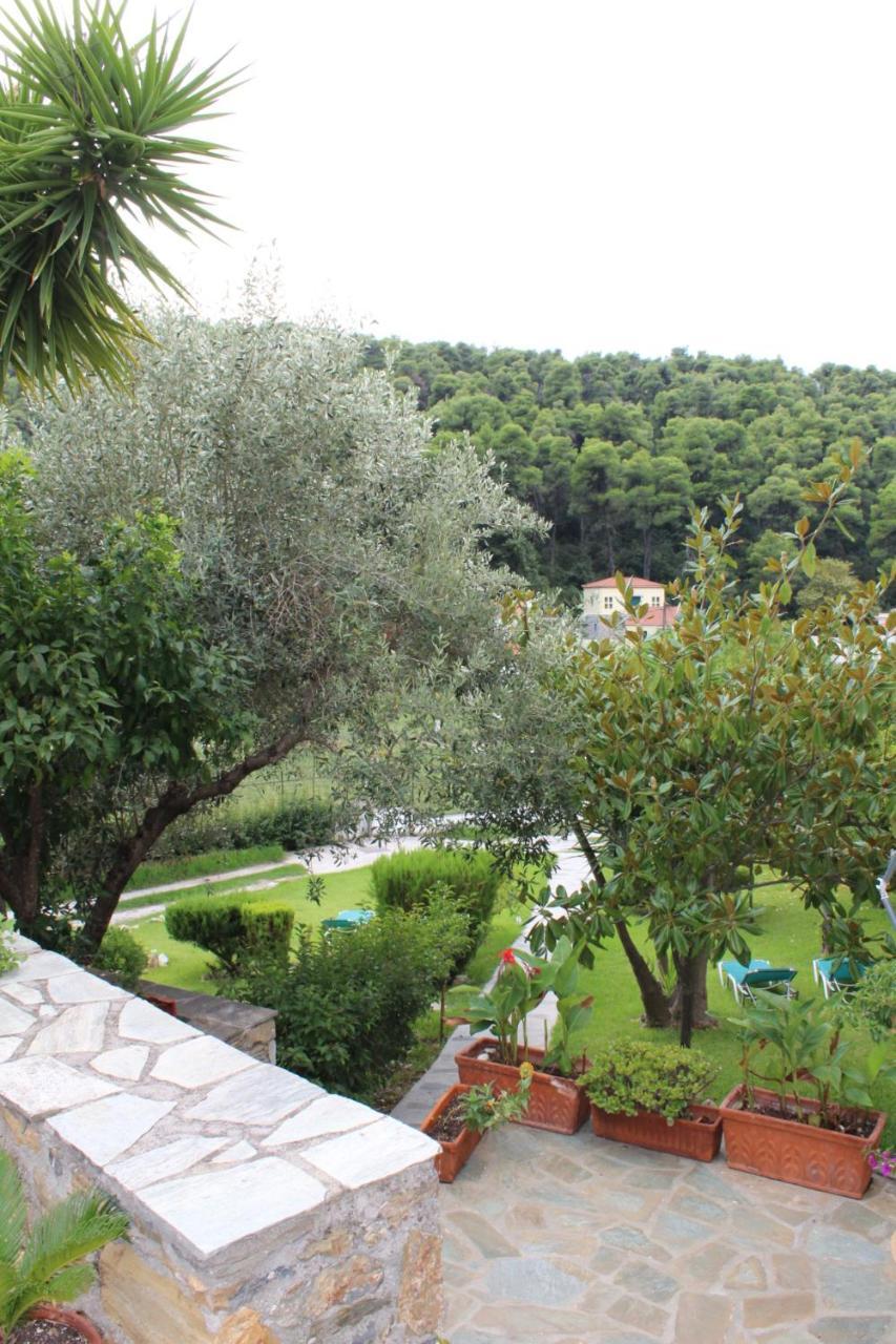 The Pine Trees Aparthotel Αγνώντας Εξωτερικό φωτογραφία